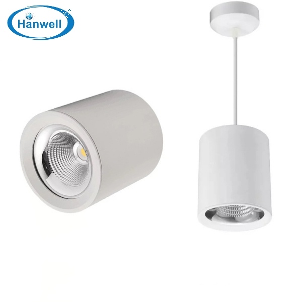 Outdoor LED Downlight