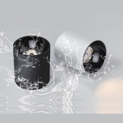 Outdoor LED Downlight